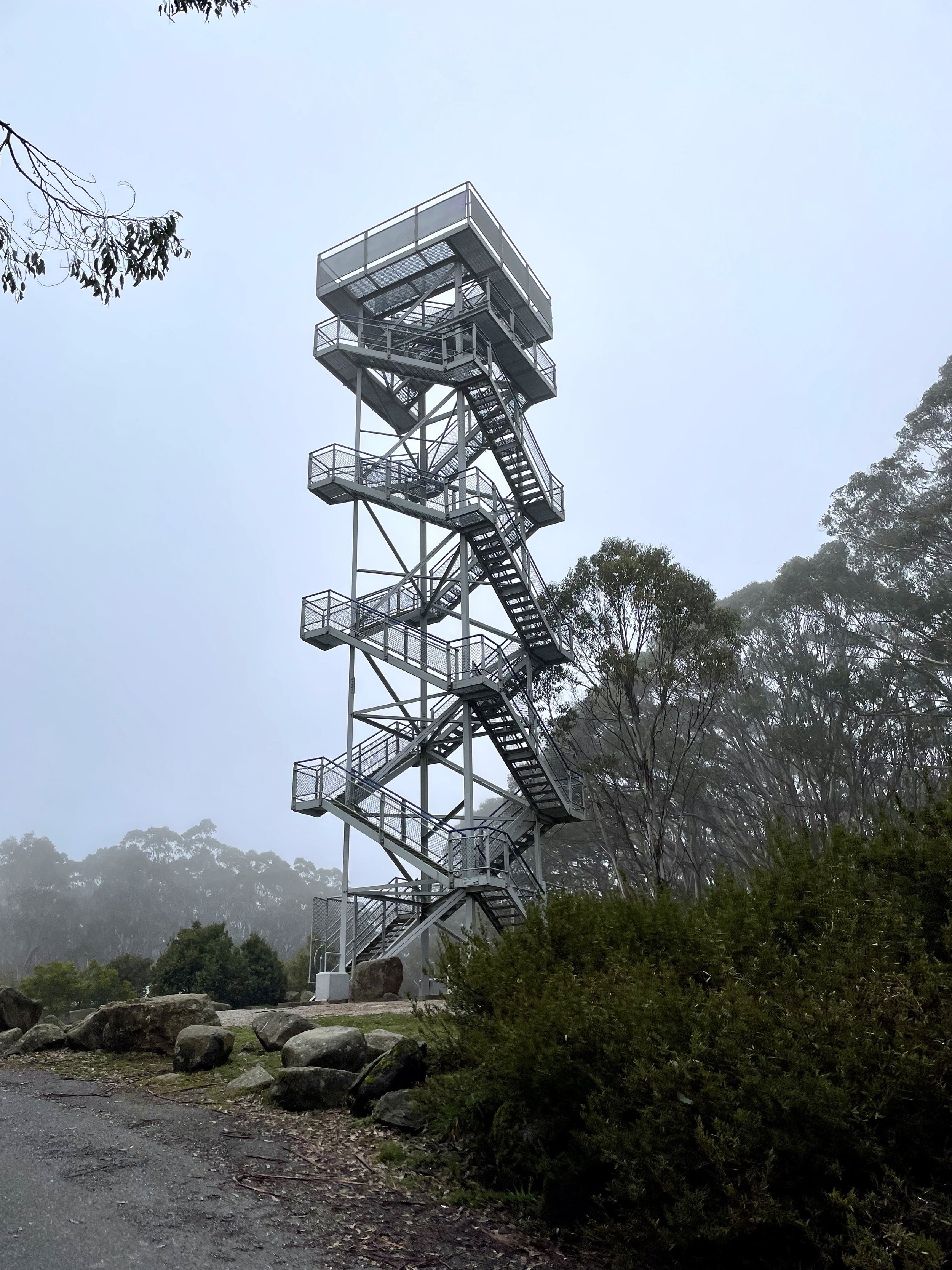 Mount Donna Buang Girt By
